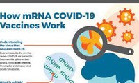 Công nghệ mRNA được áp dụng để phát triển vắc xin COVID-19