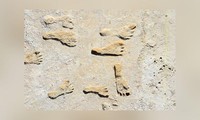 Những dấu chân hóa thạch mới được phát hiện tại bang New Mexico, Mỹ,