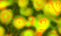 Bất ngờ phát hiện hình ảnh vi khuẩn đột biến đẹp như tranh của Van Gogh 