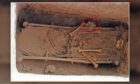 Bộ áo giáp bằng vảy da quý hiếm được phát hiện ở khu lăng mộ Trung Quốc 