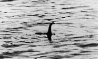 Quái vật hồ Loch Ness thực ra là dương vật của cá voi ?