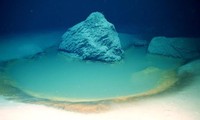 Phát hiện những vùng nước biển siêu mặn ở Hồng Hải nhưng vẫn tồn tại sự sống 