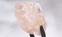 Vừa phát hiện viên kim cương hồng lớn nhất trong hơn 300 năm qua