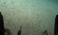 Những lỗ thủng kỳ lạ được phát hiện dưới đáy đại dương 