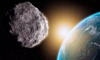 NASA cảnh báo về 3 tiểu hành tinh có quỹ đạo hướng về Trái đất trong tuần này 
