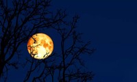 Tại sao trăng rằm tháng 2 được gọi là Trăng giun? 