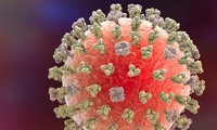 Ca tử vong đầu tiên trên thế giới vì cúm H3N8 được ghi nhận ở Trung Quốc 