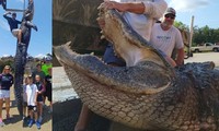 Cảnh sát biển vật lộn 4 giờ đồng hồ để bắt cá sấu khủng dài hơn 4 mét
