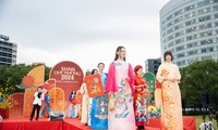 Đưa đoàn nghệ thuật biểu diễn phục vụ cộng đồng người Việt Nam tại Nhật Bản 