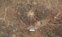 Phát hiện tác phẩm nghệ thuật 9.000 năm tuổi bên cạnh dấu chân khủng long 
