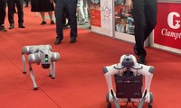 Robot chó của Việt Nam &apos;khuấy động&apos; Hội chợ Thương mại Quốc tế 