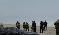 Trung Quốc: Bão Talim đổ bộ, cuốn cá voi dạt vào bờ