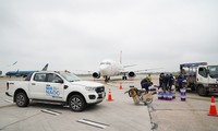 Sân bay Nội Bài và Tân Sơn Nhất bước vào sửa chữa đã ảnh hưởng nghiêm trọng tới hoạt động hàng không.