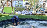 Sửa chữa mô hình &apos;cá chép hóa rồng&apos; bị cháy tại Nha Trang
