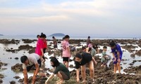 Nhiều người đổ ra biển &apos;uy hiếp&apos; rạn san hô vịnh Nha Trang