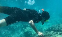 Thí điểm cho du khách lặn biển ngắm san hô vịnh Nha Trang