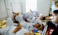 Bệnh nhân mắc SXH đang được điều trị tại BV Bạch Mai, Hà Nội. Ảnh: Như Ý