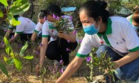 Đoàn viên thanh niên địa bàn dân cư tại TT-Huế tham gia làm sạch đẹp đường làng ngõ xóm