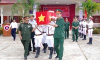 Đón nhận nhiều hài cốt liệt sĩ hy sinh tại Lào về quê hương