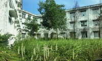 Cận cảnh bệnh viện đa khoa hàng trăm tỷ hoang tàn, cây dại bủa vây tại Huế
