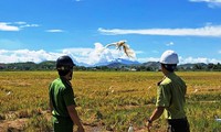 Lội đồng ‘phóng sinh’ chim mắc bẫy