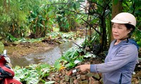 Nước thải từ bãi rác Khánh Sơn rò rỉ gây ô nhiễm