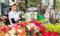 Phố phường Đà Nẵng rực rỡ sắc hoa đón Tết