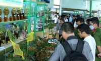 Phiên chợ miền núi Quảng Nam bán 63 ký sâm Ngọc Linh trong 3 ngày, thu gần 9,5 tỷ đồng