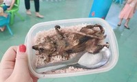 Quảng Nam: Xác minh thông tin học sinh vùng núi ăn cơm với thịt chuột