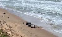 Thi thể ở biển Quảng Nam là nam sinh báo chí bị sóng cuốn ở Huế
