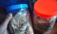 Vụ ngộ độc sau khi ăn cá chép ủ chua: Bệnh nhân mua cá đông lạnh về làm
