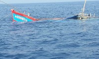 Tàu cá Quảng Nam bị tàu sắt tông chìm trên biển