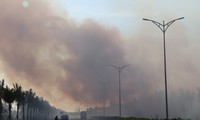 Cháy lớn tại rừng ven biển ở Quảng Nam