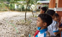 Vì sao Quảng Nam dừng chi 150 tỷ đồng mua sữa học đường cho trẻ?