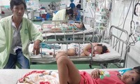 Quảng Nam: Bốn mẹ con bị đàn ong vò vẽ đốt phải nhập viện 