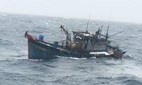 The fishing boat of Quang Nam fishermen was sunk at sea