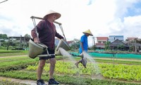 Du lịch phát triển nông thôn thành 'vùng quê đáng sống'