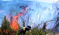 Lại xảy ra cháy rừng tại tỉnh TT-Huế