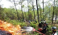 Các lực lượng chức năng nỗ lực ngăn ngọn lửa lan rộng ra nhiều vùng rừng cảnh quan cạnh trung tâm thành phố Huế (ảnh Trương Vững)