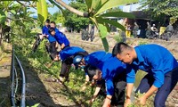 ĐVTN Hương Thủy ra quân làm vệ sinh, bảo đảm môi trường xanh, sạch, sáng hưởng ứng chiến dịch “Thanh niên tình nguyện hè năm 2020”.