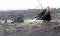 Tàu câu mực chìm trên biển, 45 ngư dân thoát chết