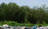 Hàng trăm xác thai nhi trong rác thải: Chính quyền địa phương nói không biết