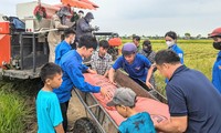 Hà Tĩnh: Đoàn viên thanh niên ra quân tham gia hỗ trợ người dân chống bão Yagi