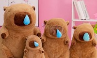 5 cách để bạn trở thành &quot;chiến thần ngoại giao&quot; được yêu mến như Capybara