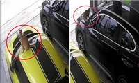 Chú mèo không trèo cây cau mà trèo lên siêu xe của hàng xóm, khiến chủ bị bắt đền 70 triệu