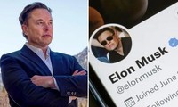 Diễn biến oái oăm trên Twitter sau thông báo thu phí &quot;tick xanh&quot;, Elon Musk cũng không ngờ tới