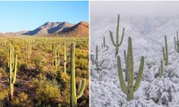 Sa mạc nóng nhất Bắc Mỹ có tuyết rơi dày tới 10 cm, điều gì đang xảy ra?