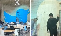 Video con chim xanh ở văn phòng Twitter bị gỡ bỏ theo lệnh của Elon Musk