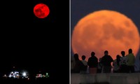 Mặt Trăng đỏ rực xuất hiện đúng một ngày sau hiện tượng Siêu Trăng xanh, lý do là gì?