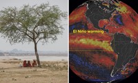 El Nino bước vào thời kỳ cao điểm, ảnh hưởng thế nào đến thời tiết mùa Đông năm nay?